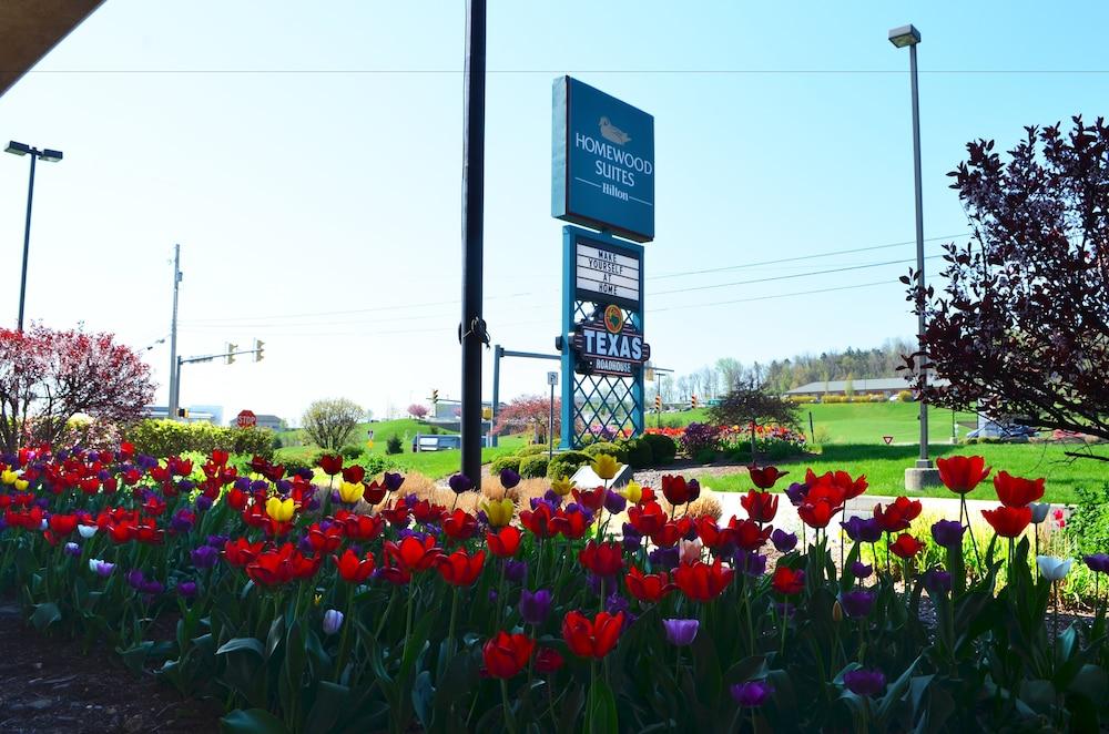 Homewood Suites By Hilton Reading-Wyomissing Luaran gambar